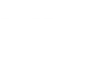 viva Games Studios